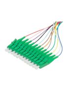 Pigtail LC APC 2m 12pcs, colors