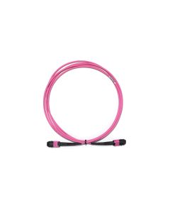 MPO12F/F OM4 LowLoss Pol A 5-50m